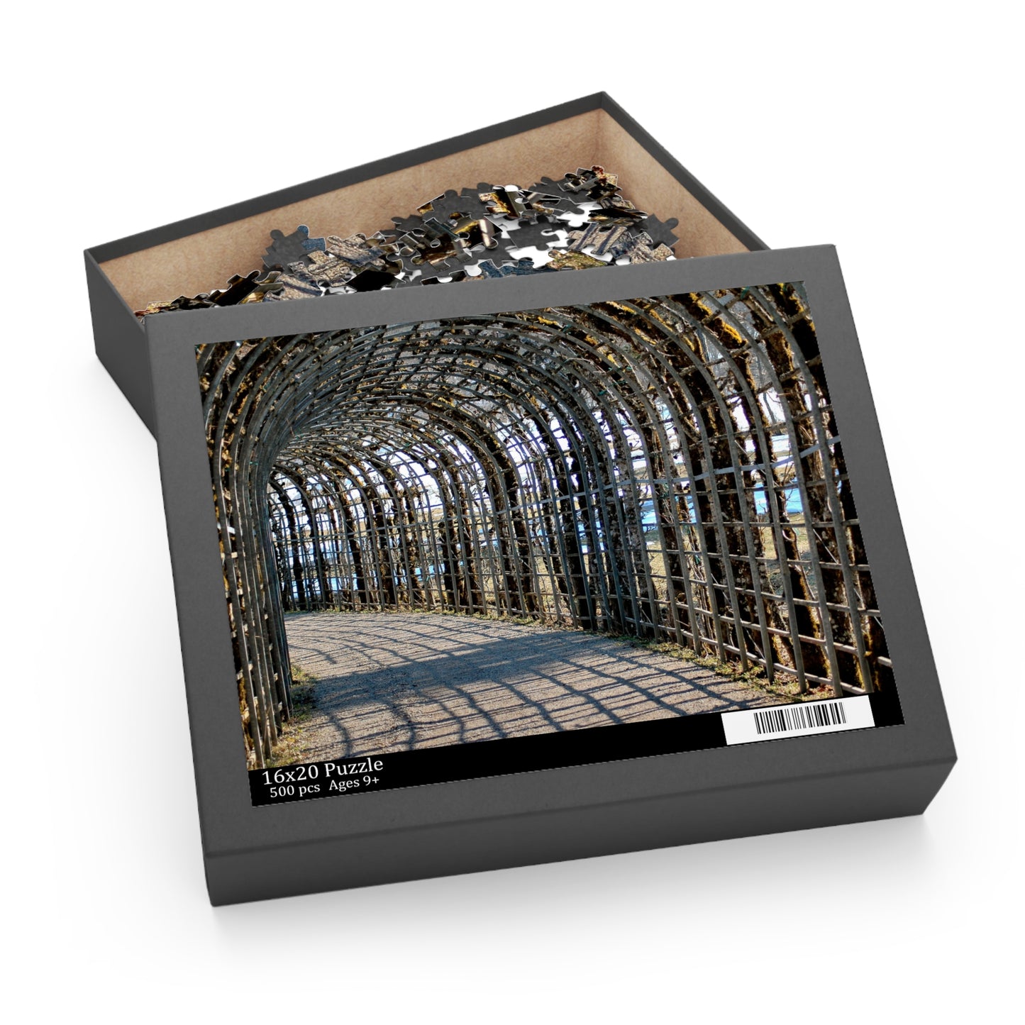 Tunnel of Light Puzzle (500-Piece)