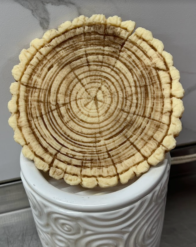 WOOD SLICES | Mahogany Teakwood fragrance | 6.75 oz
