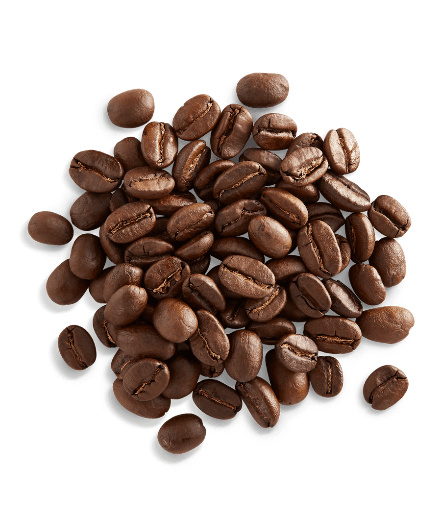 Dr. Knojoy's - Swiss Water Decaf