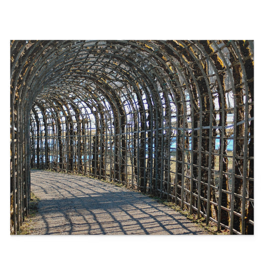Tunnel of Light Puzzle (500-Piece)