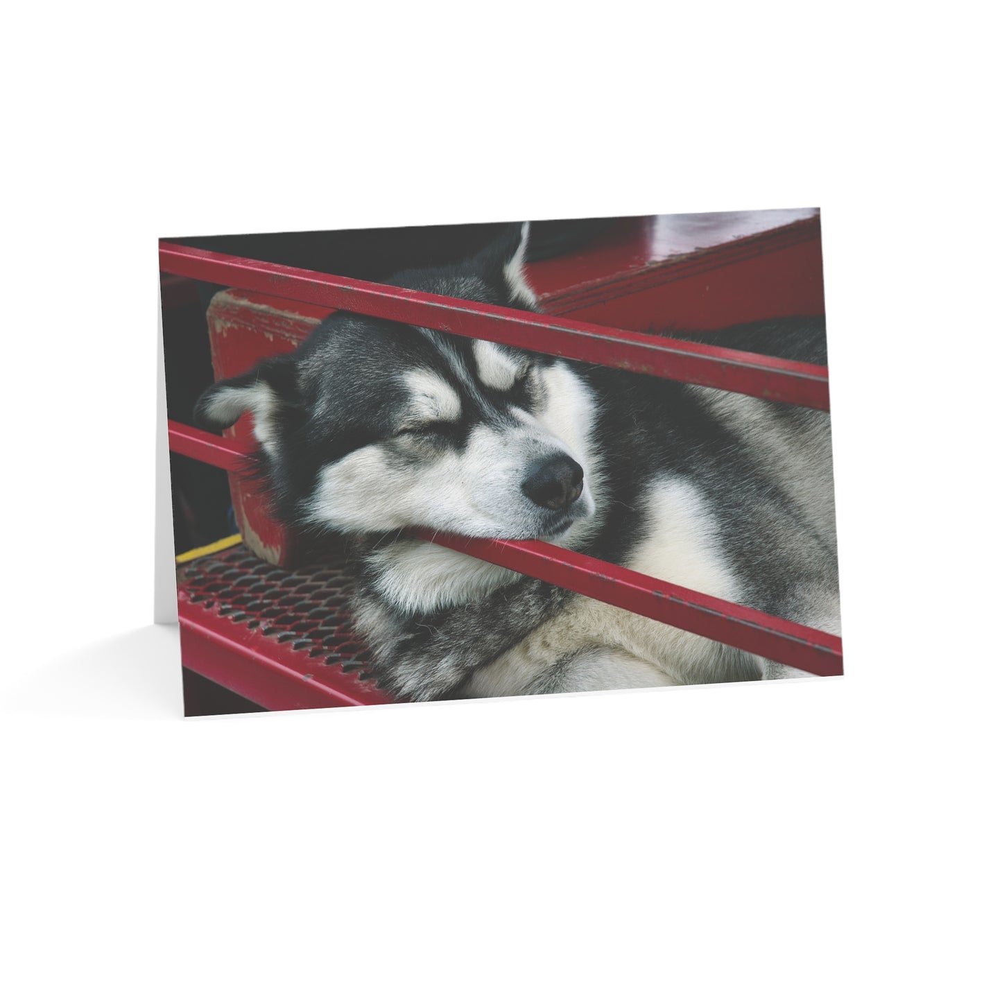 Sleep Watch – Holiday Greeting Card (1/10/30/50 pcs)