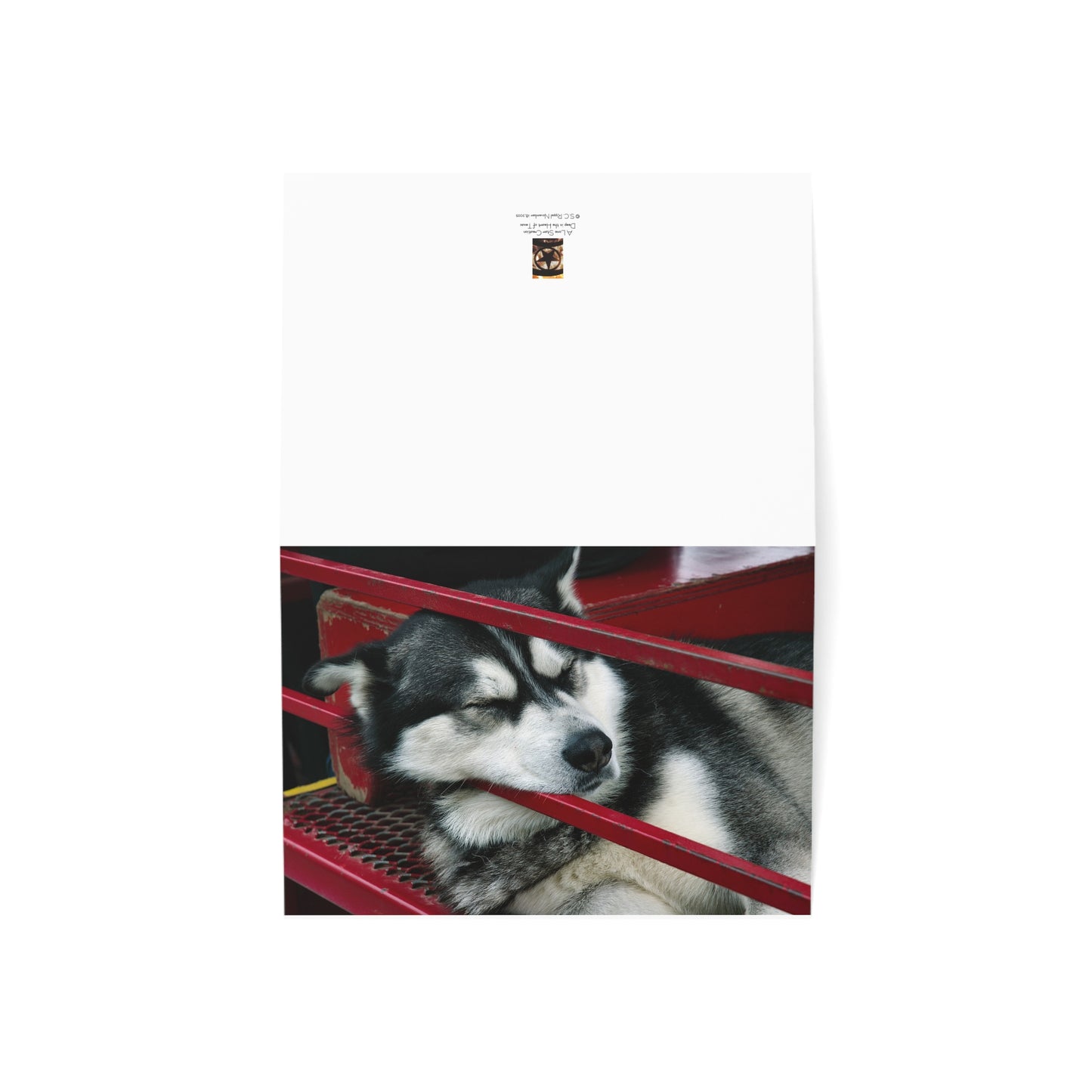 Sleep Watch – Holiday Greeting Card (1/10/30/50 pcs)