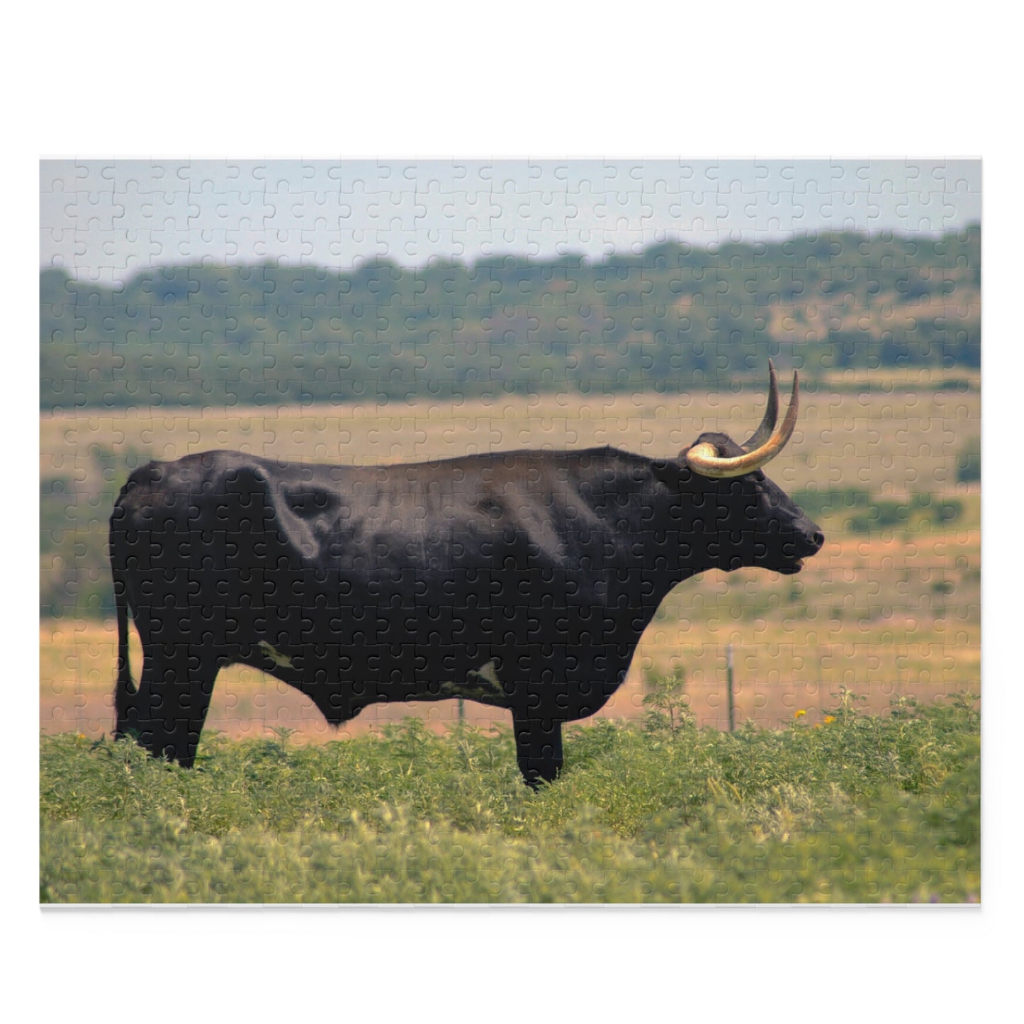 Longhorn Bull Puzzle | Texas Cattle Scene 500-Piece