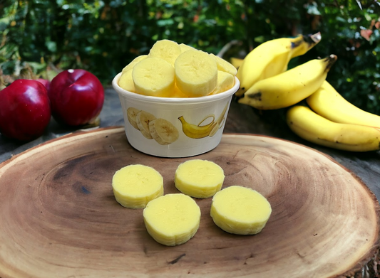 BANANA SLICES Wax Melts | Wax Embeds for Candles | Fake Food | 3 oz
