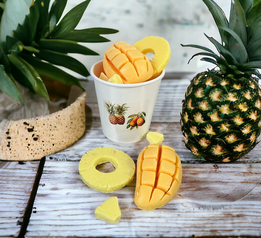 PINEAPPLES & MANGOES wax melts | Fake Food | fruity | 5.5 oz