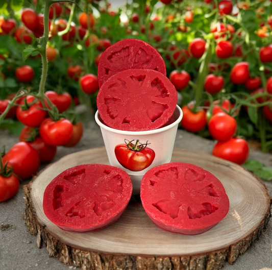 TOMATO SLICES Wax Melts | Tomato Leaf scent | 3 Melts | 4.5 oz